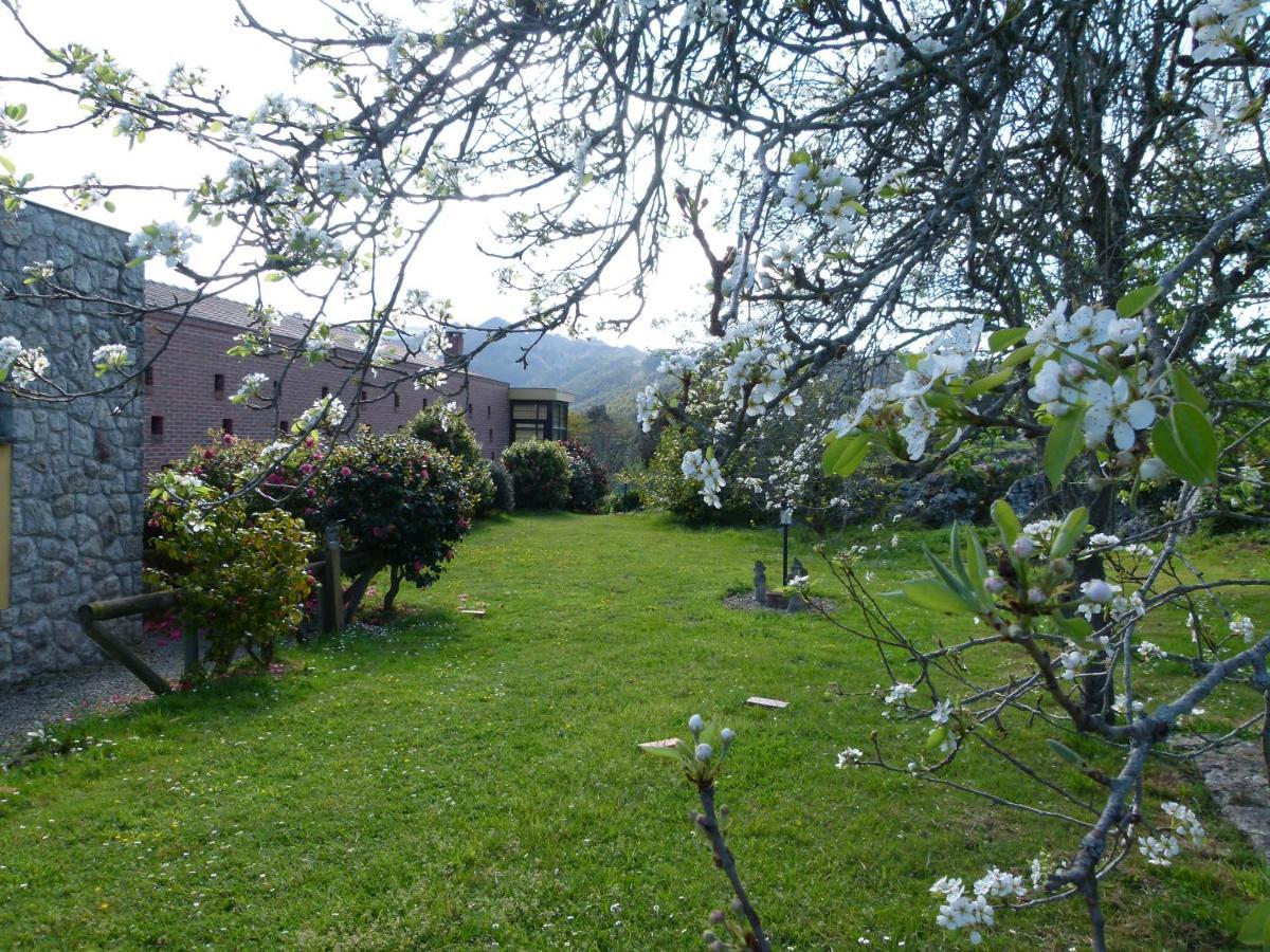 Venancios