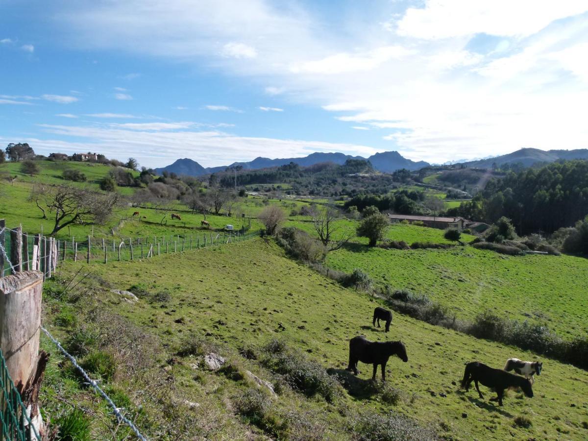 Venancios